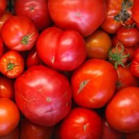 Promo! Tomate Agroecológico 2kg