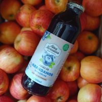Jugo de Arandanos sin azúcar 500ml - Alma Mercedina