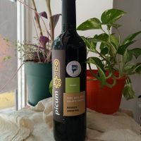 Vino Cabernet 750ml - Picum