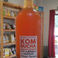 Kombucha 750cc - La Arganera