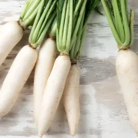 Nabo Agroecológico 1kg