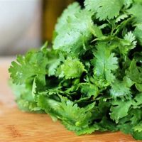 Cilantro Agroecológico 100gr
