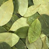 Hojas de Coca Seleccionadas 30grs - Suma Qamaña