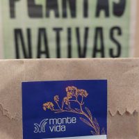 Poleo 10 gr - Monte Vida