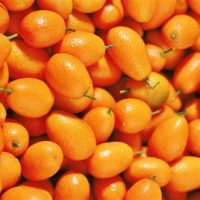 Quinoto 250gr