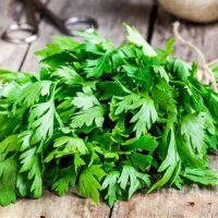 Perejil agroecológico x atado