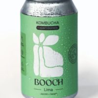 Soda de Kombucha Lima, Jazmín y Reishi 354ml - Booch