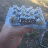 NUEVO! Huevos de Codorniz Agroecológicos 12un  - La Tandilera