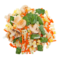 Verduras Congeladas / Mix para Saltear Hongos c/ Zanahoria 300gr