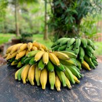 Bananas Agroecológica Prata (Alejandro Clanci, Misiones) 1kg