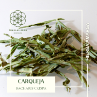 Carqueja 15 gr - Traslasierra Ecofusion