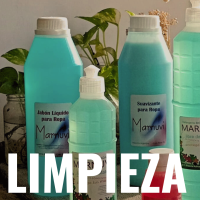 Limpieza y Hogar