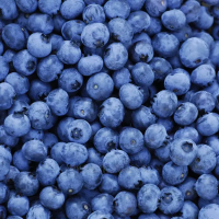 Arandanos Orgánicos a Granel 200gr