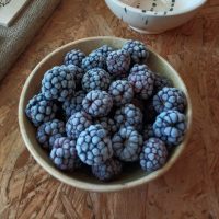 Zarzamoras Freezadas 250gr - Finca La Resurreccion